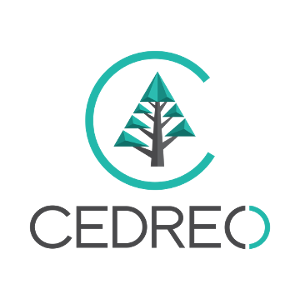 What Software is Used to Draw House Plans? - Cedreo