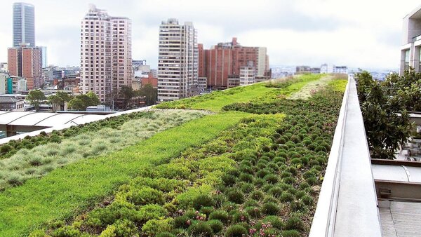 foto de un techo verde