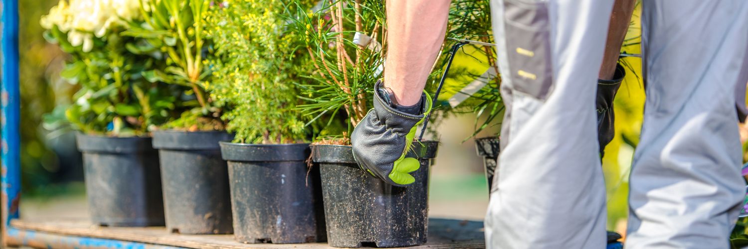Making your landscaping shop attractive to potential clients
