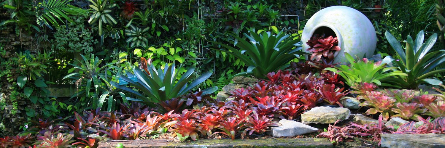 Plantas para un estanque de jardín en diseño de paisaje.