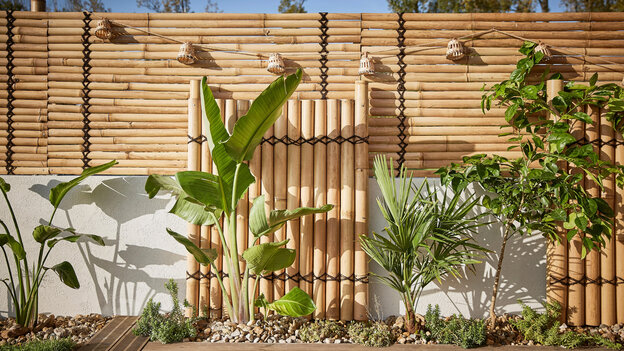 Bamboo fence