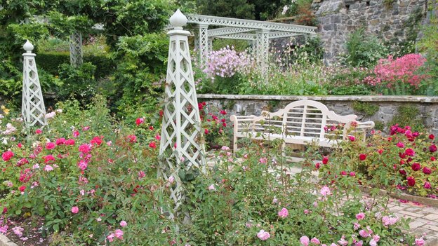 English garden with roses example