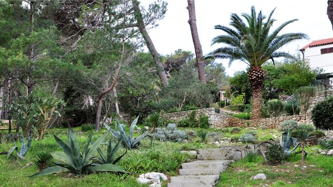 Blog-post_mediterranean-garden-design_06