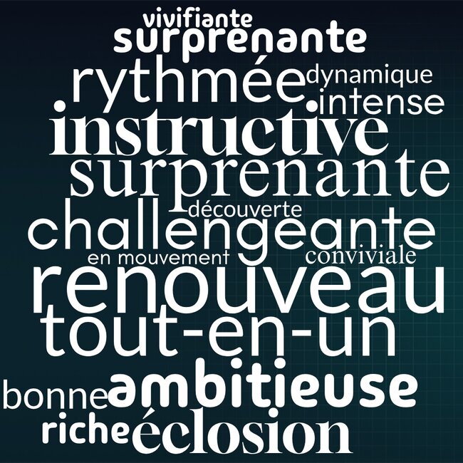 nuage de mots salariés