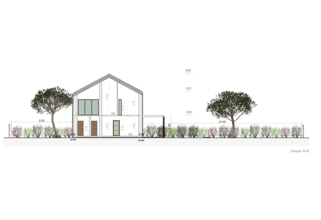 Plan de coupe avec représentation des haies limites séparatives réaliser avec Cedreo