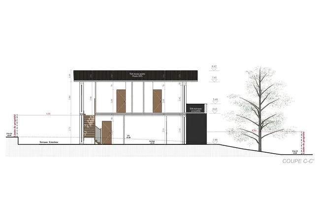 Plan de coupe maison individuelle réalisé avec le logiciel Cedreo